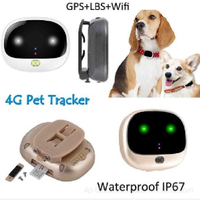 //jrrorwxhjijrlk5q.leadongcdn.com/cloud/lpBqkKqqRlqSnkjmjinq/Pets-GPS-Tracking-with-Pet-Findling-LED-Light0.jpg