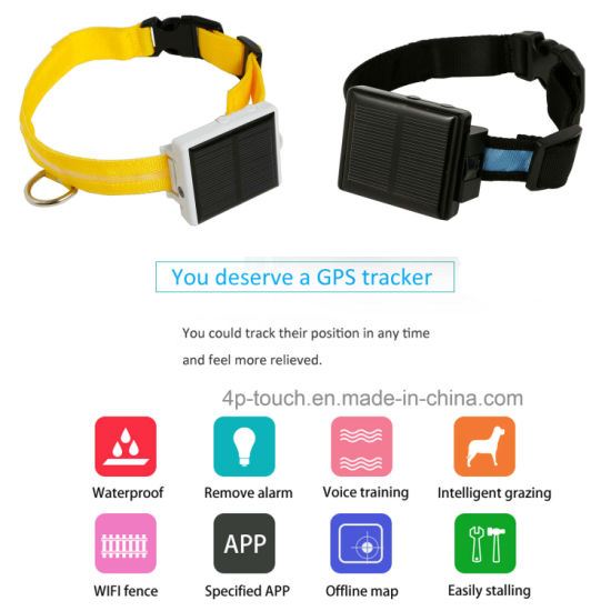 High Quality GSM Solar-Powered GPS Tracker for Pet Cow V26