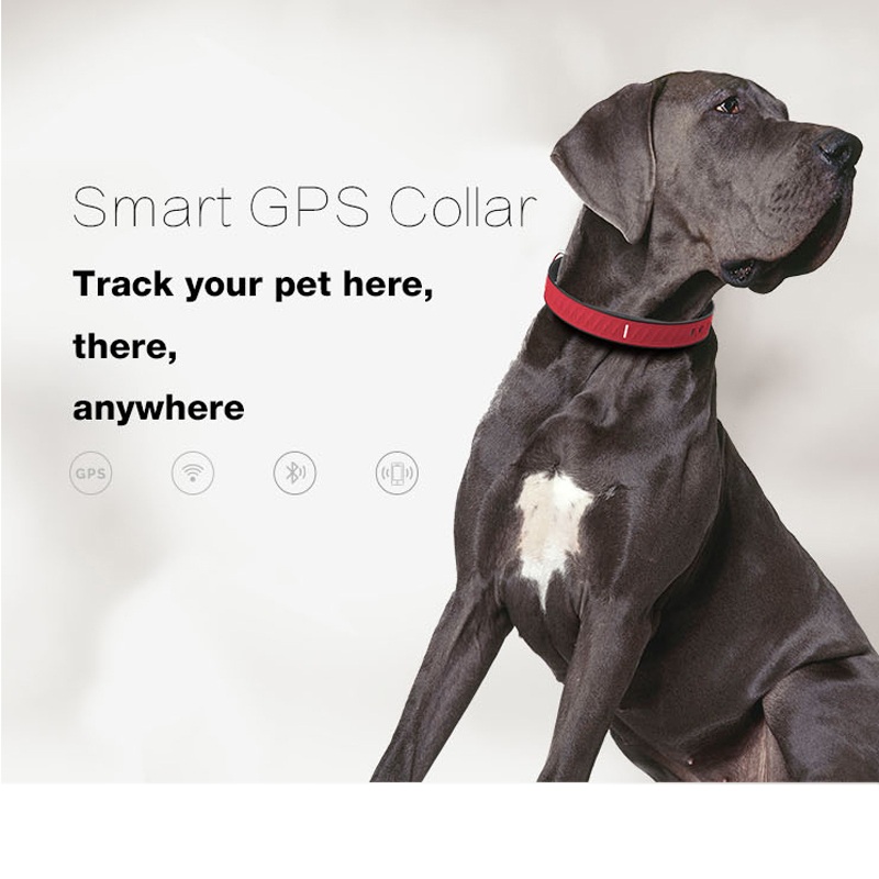 Factory Supply Pets Collar Tracker GSM Mini GPS Tracking Device