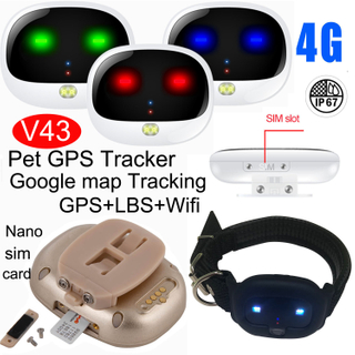 Animaux imperm&eacute;ables IP67 d&eacute;pistant le traqueur GPS LTE V43