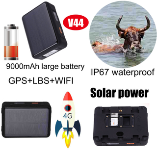 Lokalizator GPS 4G Solar Power Animal Krowa i owca z długą żywotnością baterii V44