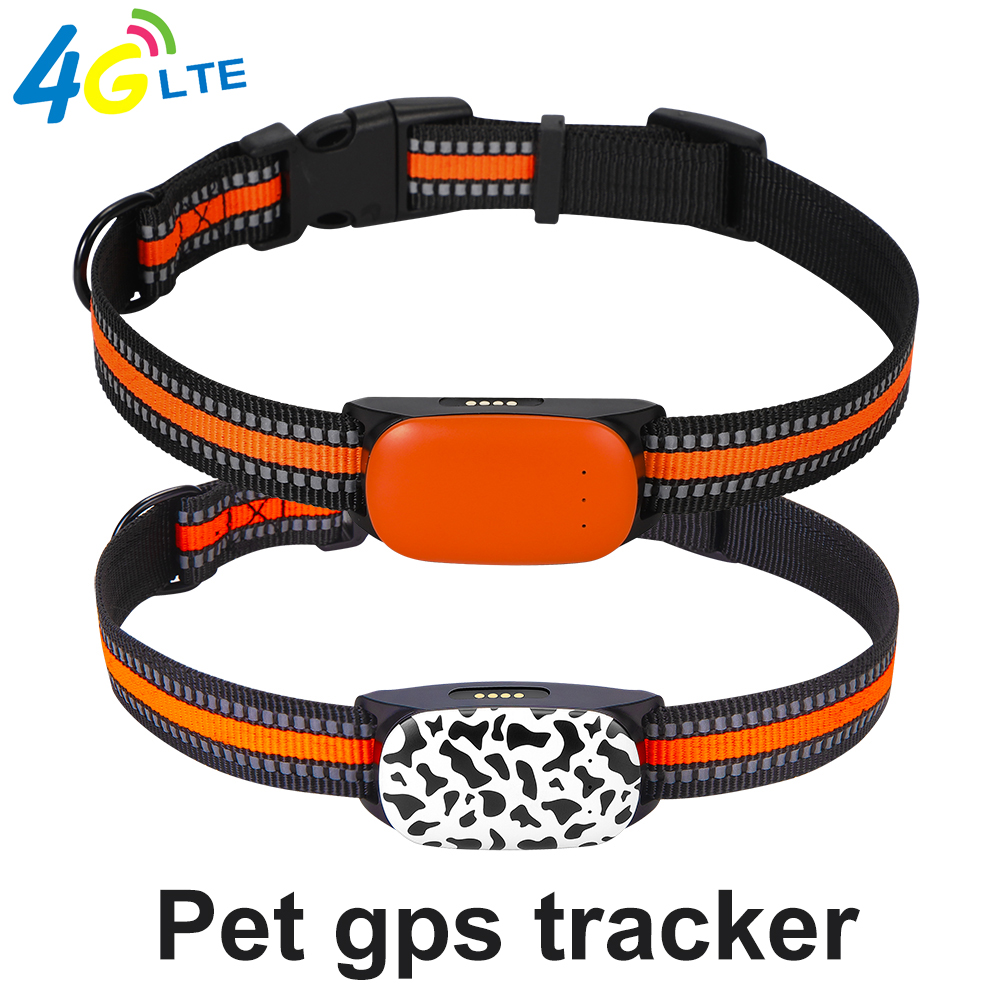 Waterproof LTE 4G GPS pet tracker for dog animal anti-lost real time pet tracking Y34