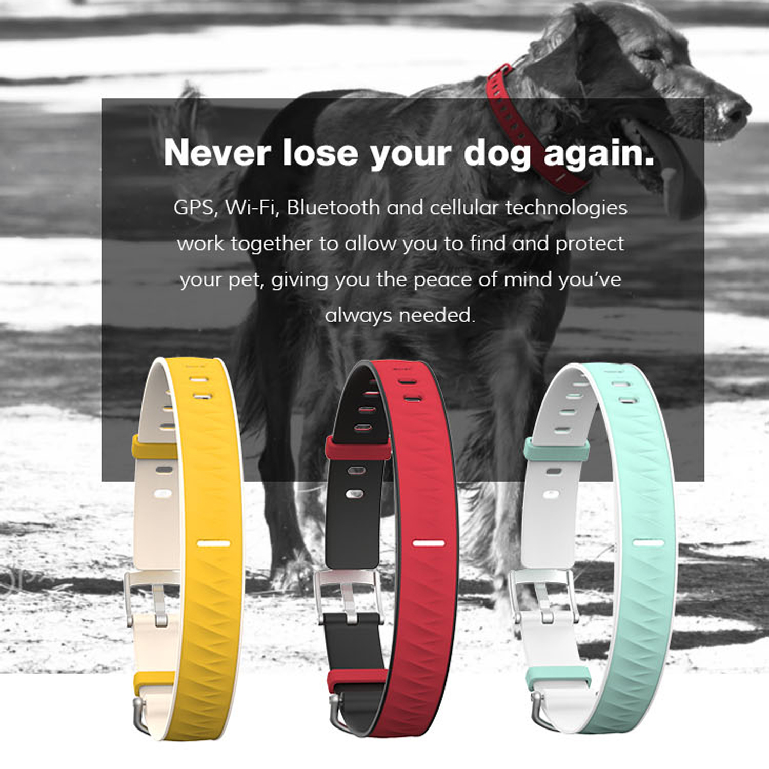 2G Waterproof Long Battery Life Smart Pet Dog Collar GPS Tracker 