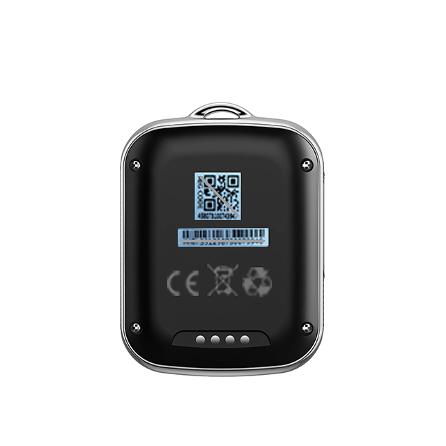 Mini GPS Tracker impermeabile con retro argento
