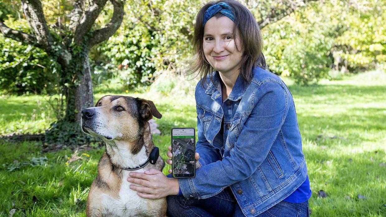 Mini localizzatore GPS Pets Care-Pets